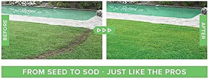 Liquid Grass Seed Spray for Lush Lawns – Nutrient-Rich Formula, Easy Use