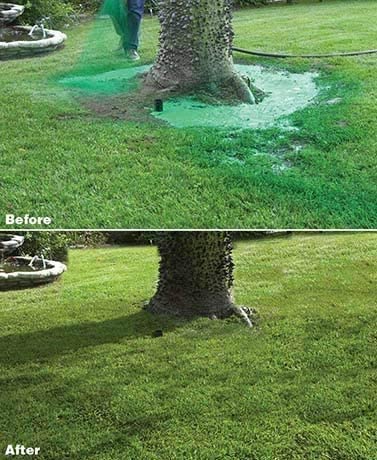 Liquid Grass Seed Spray for Lush Lawns – Nutrient-Rich Formula, Easy Use