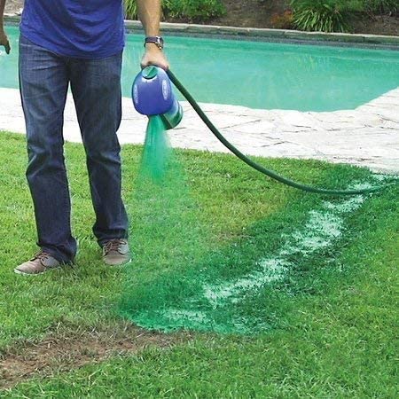 Liquid Grass Seed Spray for Lush Lawns – Nutrient-Rich Formula, Easy Use