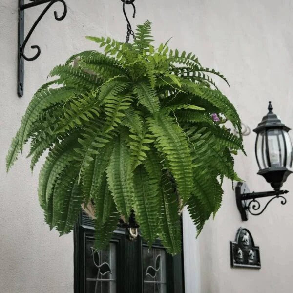 Realistic Faux Boston Fern with UV Protection for Indoor and Outdoor Use