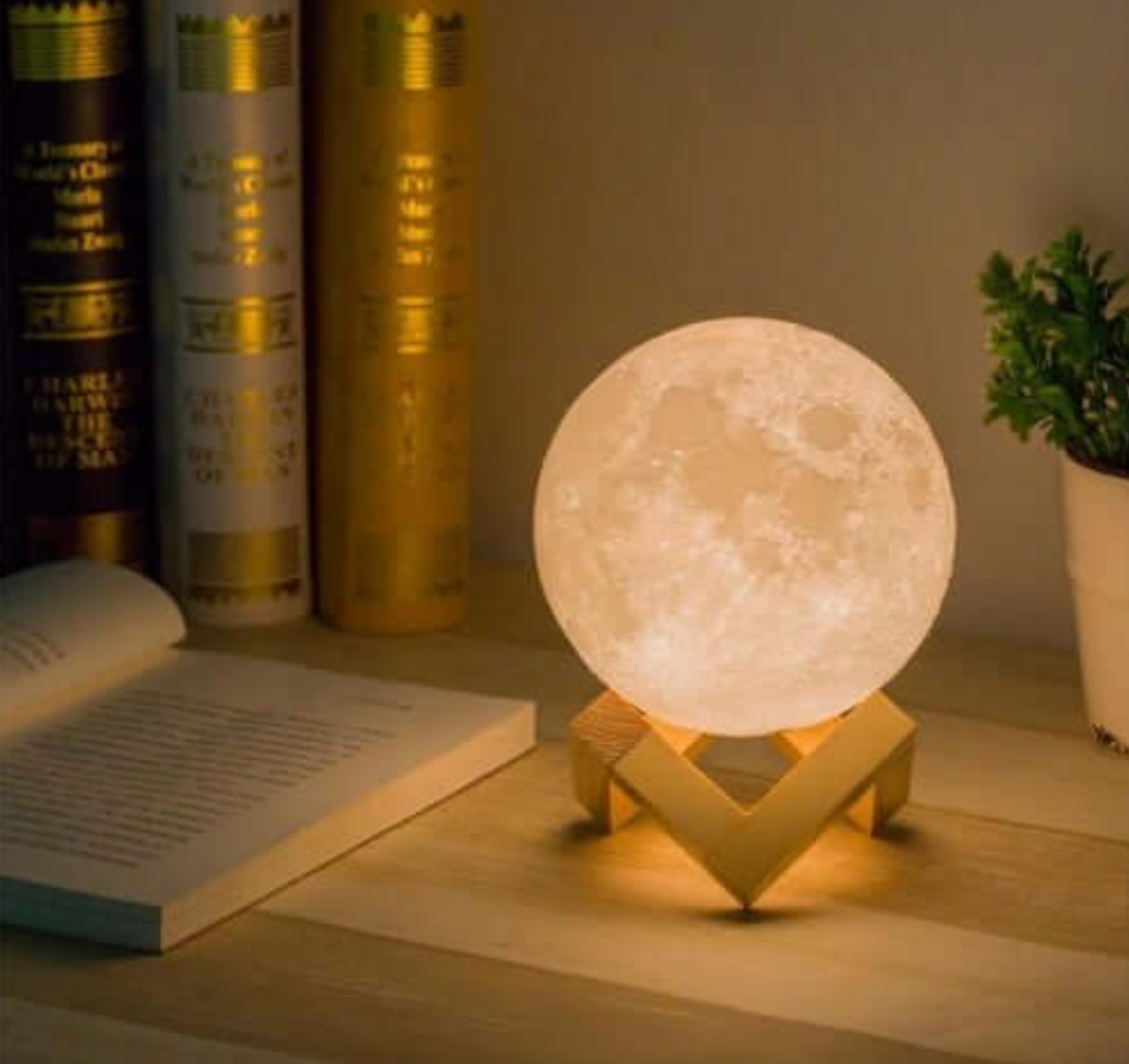 Moon-Shaped Table Lamp in Japandi Style