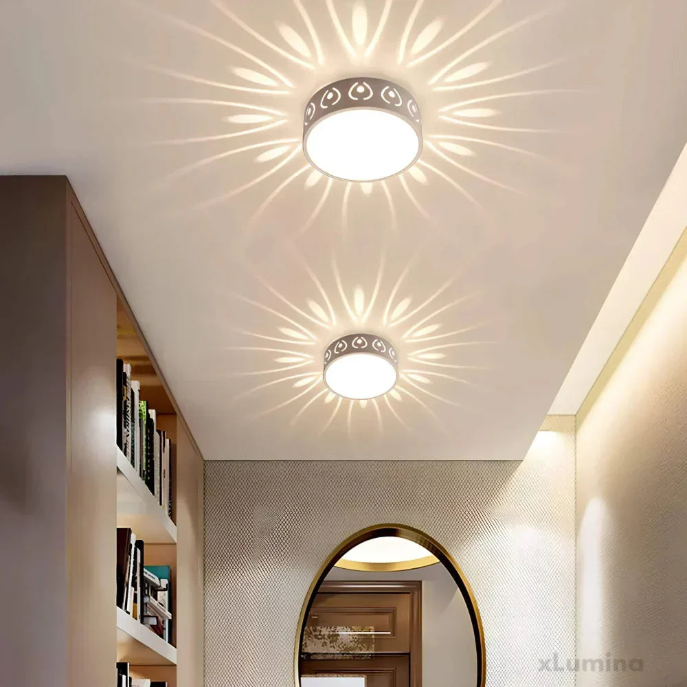 LED Ceiling Light Fixture - Modern and Energy-Saving Design