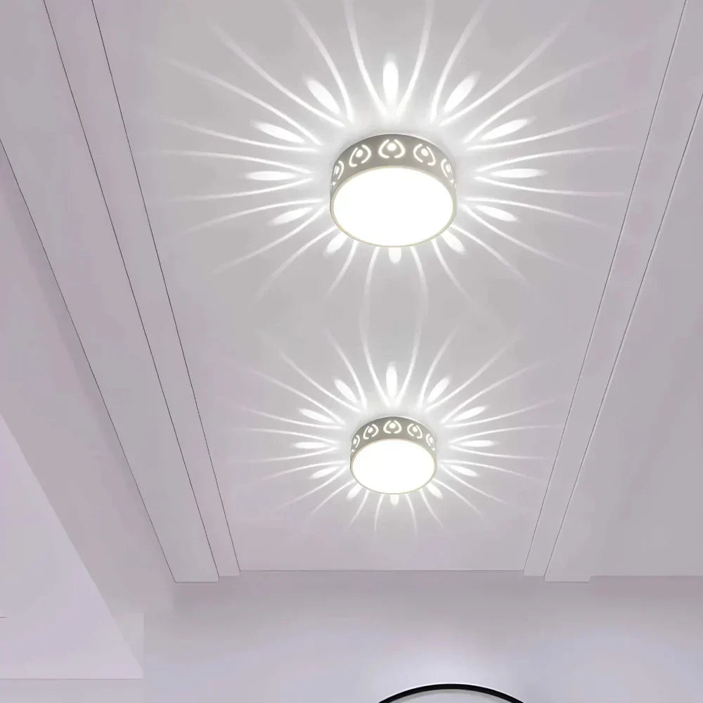 LED Ceiling Light Fixture - Modern and Energy-Saving Design