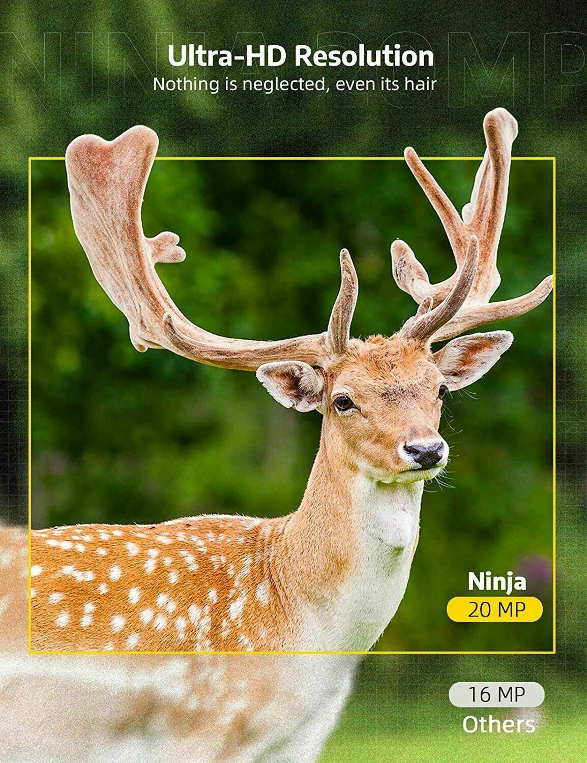 1080P 24MP Wireless Trail Camera for Wildlife with Night Vision, IP65 Waterproof, 120-Degree Angle