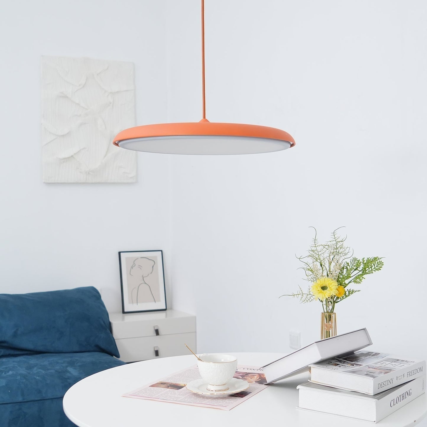 Adjustable Pendant Light in Coastal Transitional Style