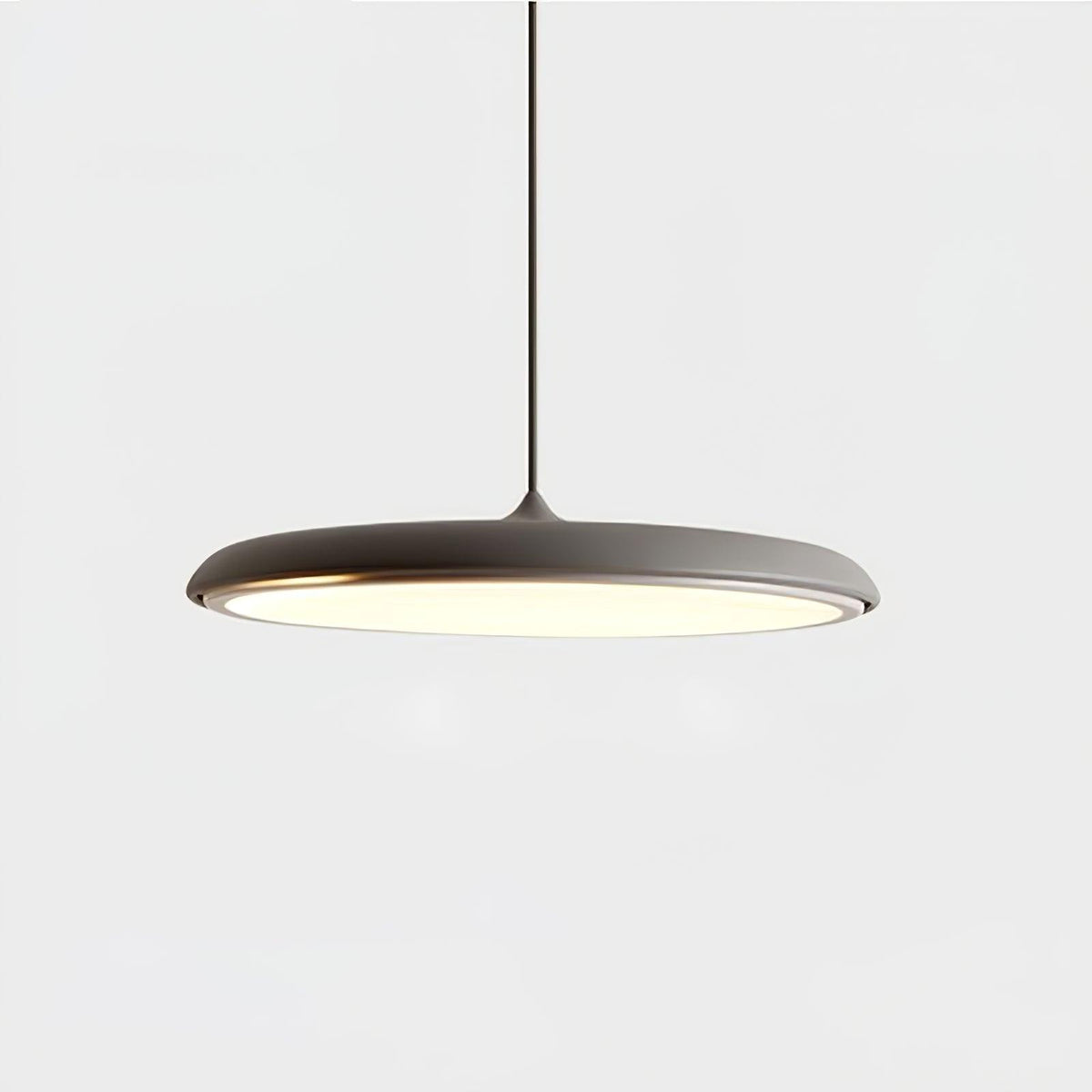 Adjustable Pendant Light in Coastal Transitional Style