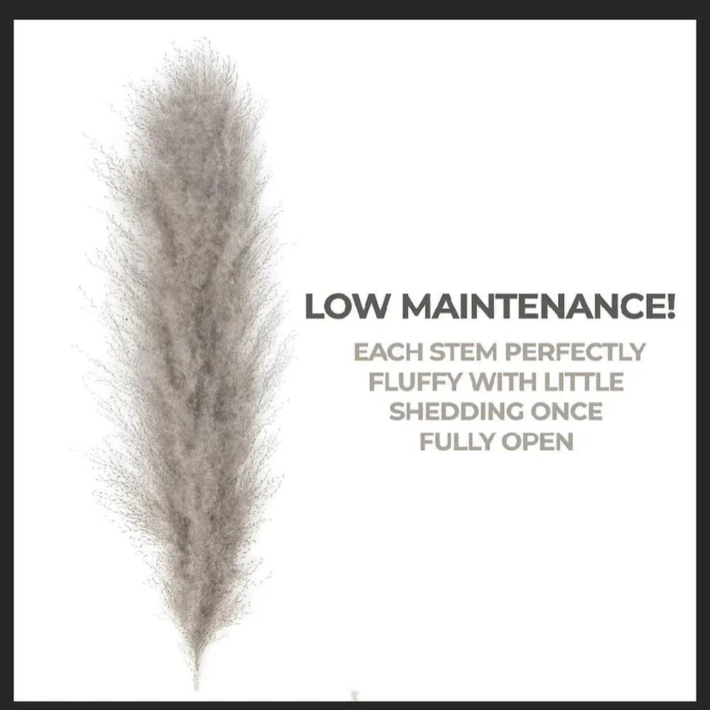 Boho Style Home Decor - 80 cm Pampas Grass Bouquet with Feathers