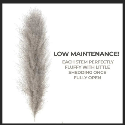 Boho Style Home Decor - 80 cm Pampas Grass Bouquet with Feathers