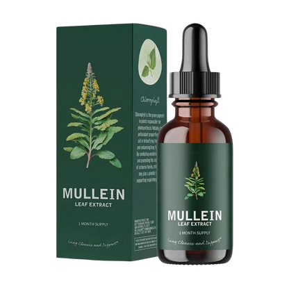 Mullein Herbal Extract | Detoxifying Chlorophyll Tincture for Respiratory Health
