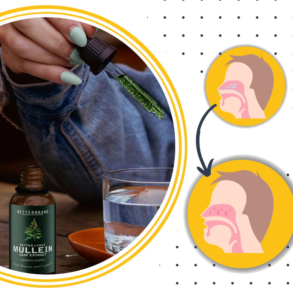 Mullein Herbal Extract | Detoxifying Chlorophyll Tincture for Respiratory Health