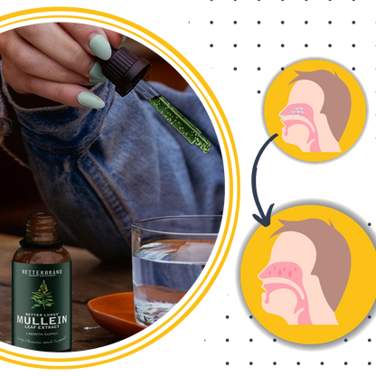 Mullein Herbal Extract | Detoxifying Chlorophyll Tincture for Respiratory Health
