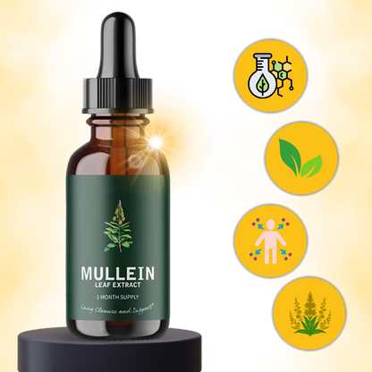 Mullein Herbal Extract | Detoxifying Chlorophyll Tincture for Respiratory Health