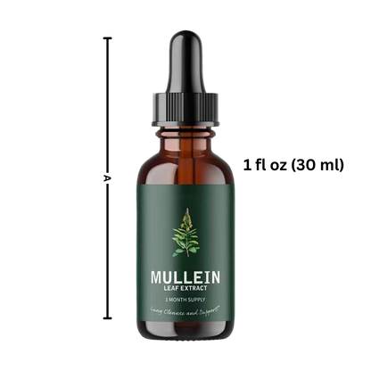 Mullein Herbal Extract | Detoxifying Chlorophyll Tincture for Respiratory Health