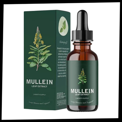 Mullein Herbal Extract | Detoxifying Chlorophyll Tincture for Respiratory Health