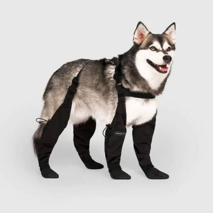 Dog Leggings for All-Weather Protection – Easy On and Off, Comfy Fit