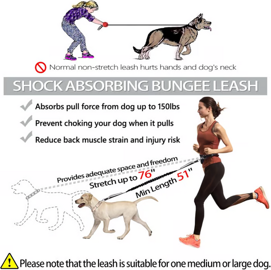 Adjustable Hands-Free Dog Leash with Hip Belt for Stress-Free Walks