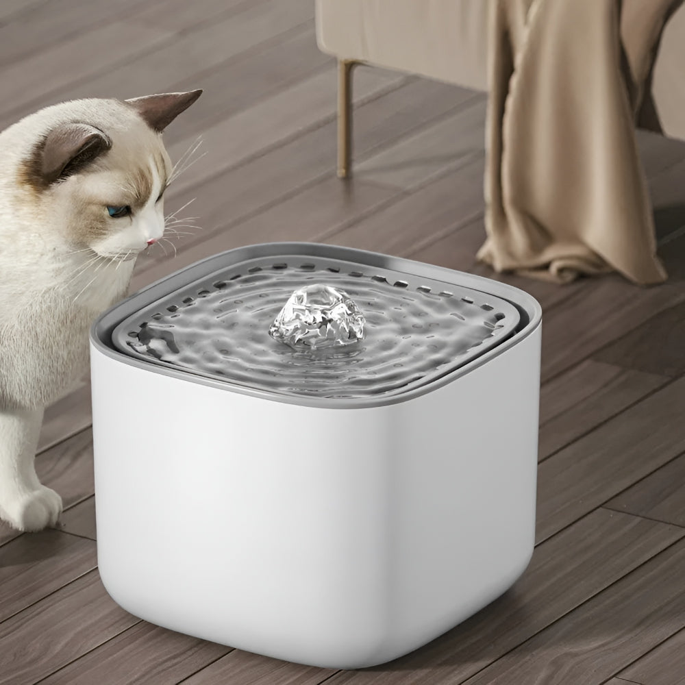 Automatic Water Dispenser with Filter System for Healthy Pet Hydration
