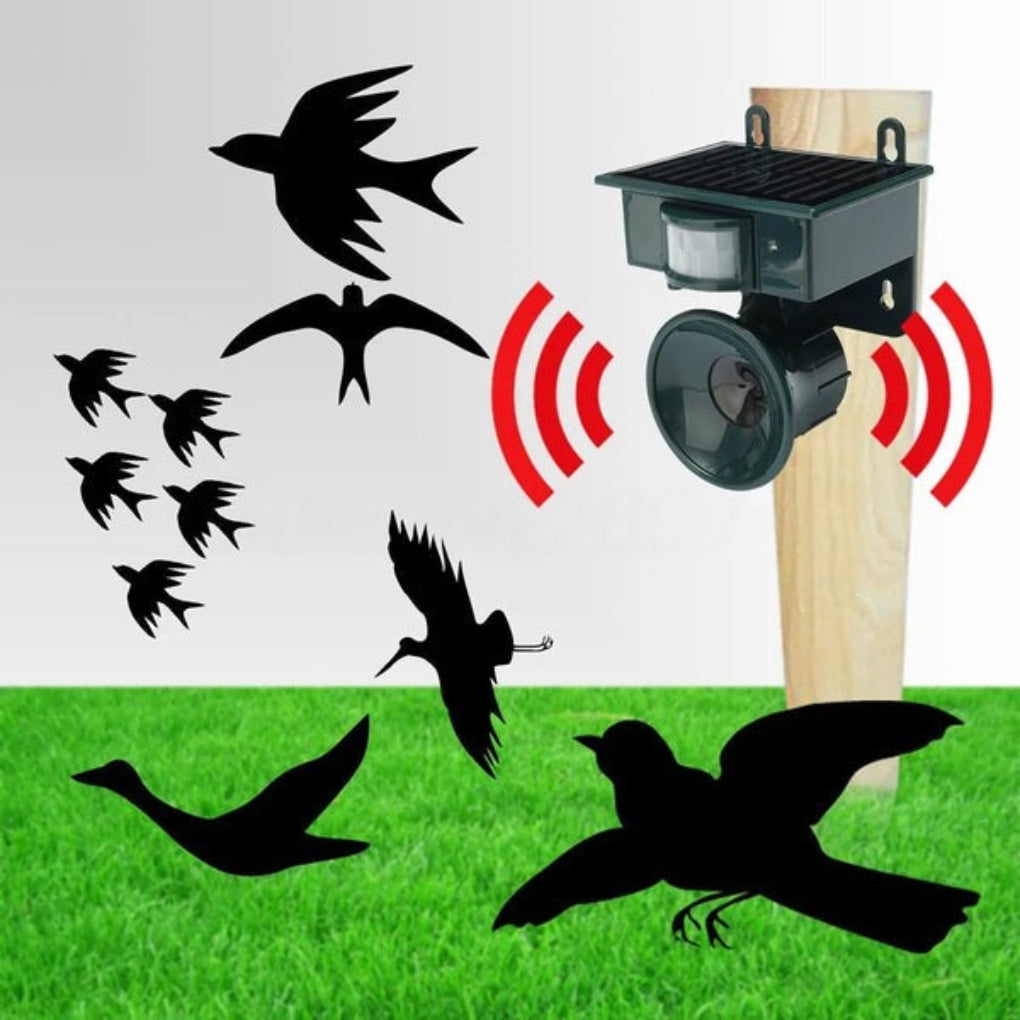 Sound-Emitting Motion Sensor Bird Deterrent