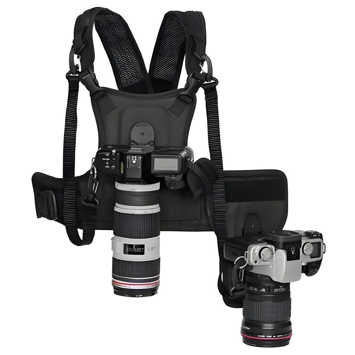 Lightweight Dual-Camera Support Harness for Photographers - Comfort & Stability