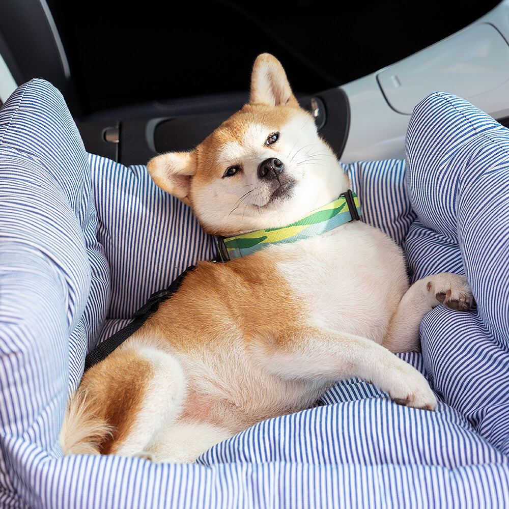 Cozy Dog Travel Bed with Adjustable Safety Features for Daily Use