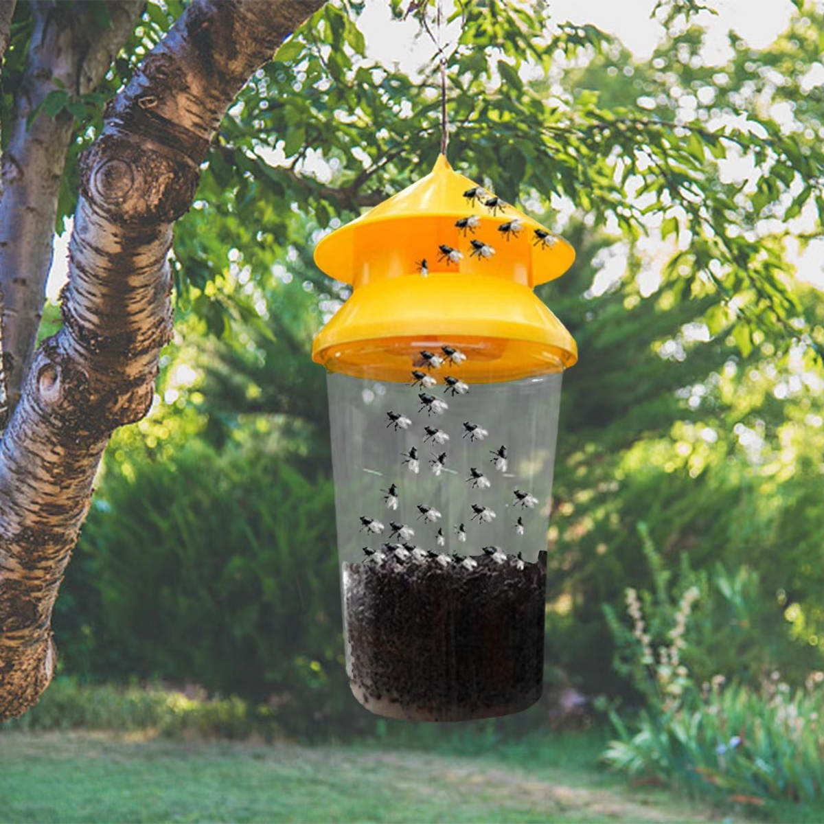 Eco-Friendly Reusable Fly Catcher for Outdoor Areas