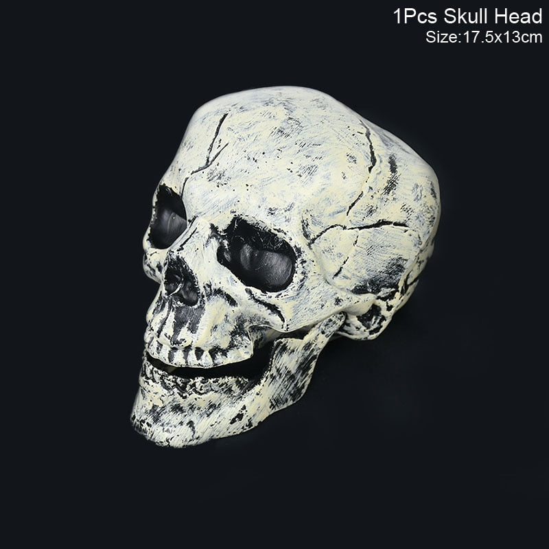Eerie Life-sized Skull Decoration with Realistic Bone Texture