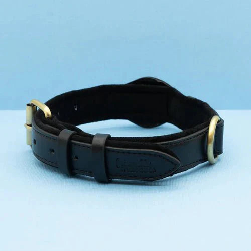 Eco-Friendly Leather Dog Collar – Waterproof Design for Comfortable Tracking