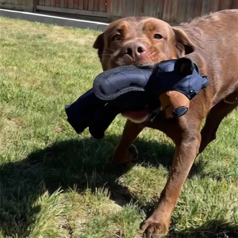Soft and Sturdy Indoor Dog Companion Toy