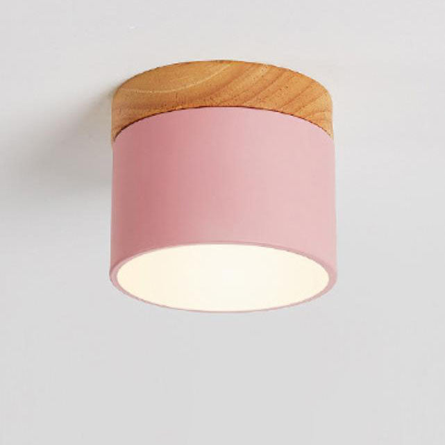 Compact Scandinavian Ceiling Light with Switchable 3-Color LED Feature