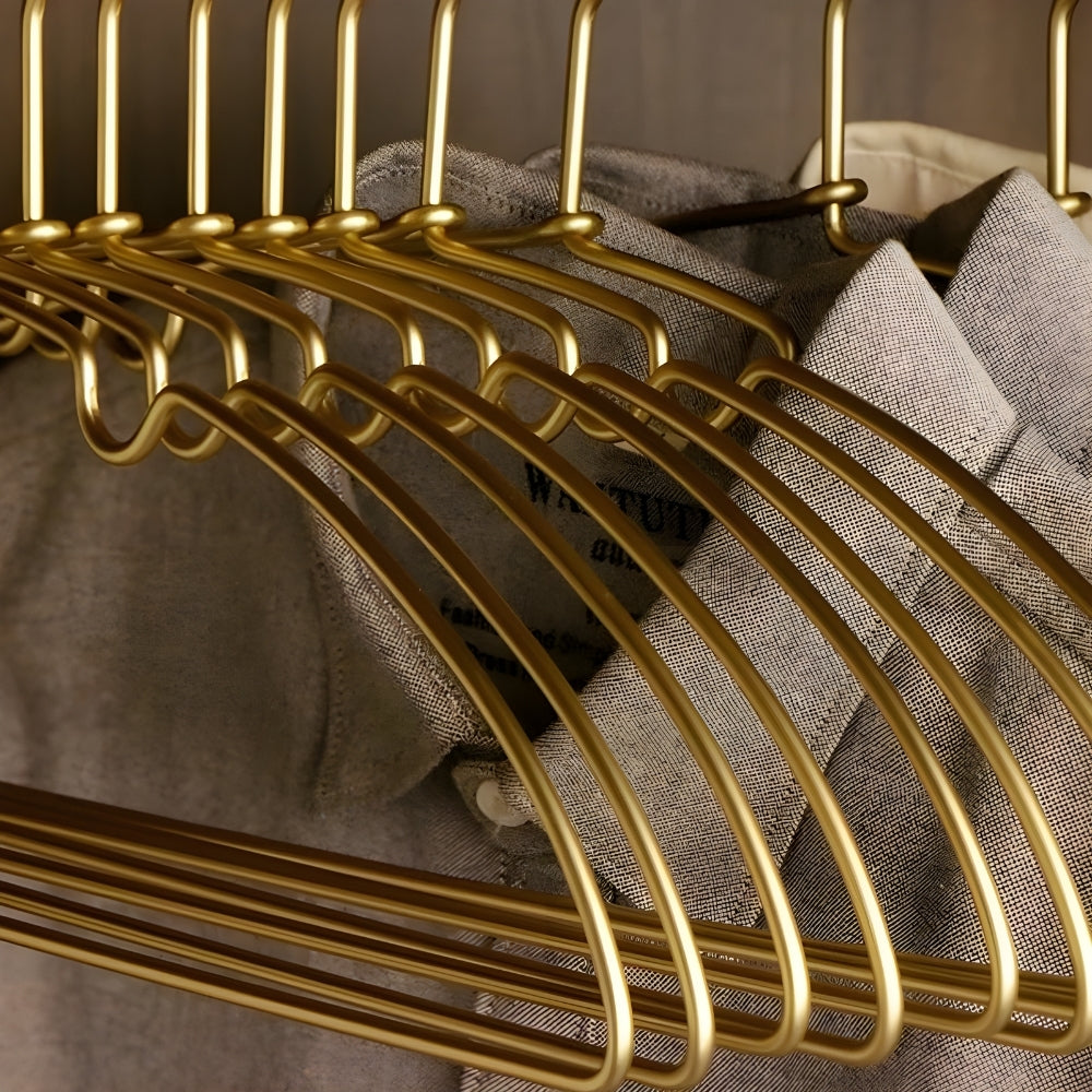 10-Piece Non-Bulge Clothes Hanger Set for Organized Wardrobe