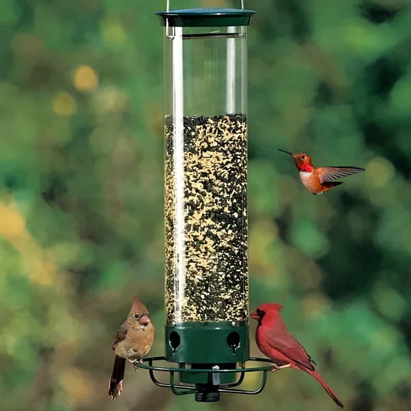 Squirrel-Resistant Bird Feeder with Smart Spinning Perch