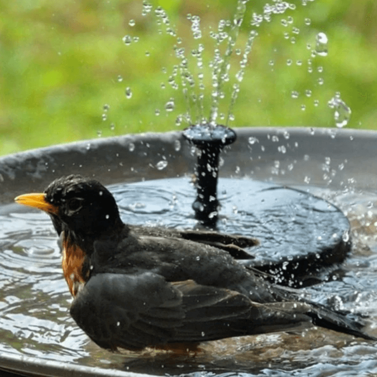 Solar Water Fountain with Adjustable Spray Height - Eco-Friendly Garden Decor