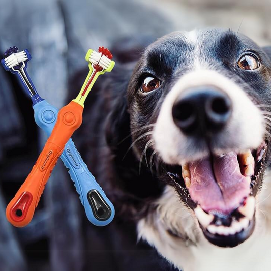 2-Pack Triangular Toothbrushes for Pets - Tartar Removal & Fresh Breath