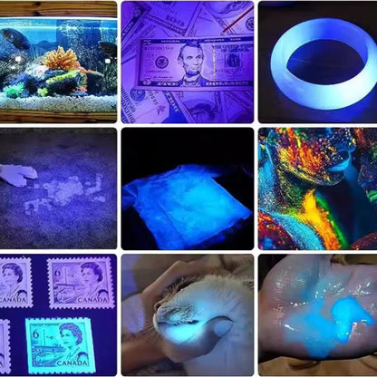 Rechargeable UV Flashlight for Detecting Pet Stains – 395nm Wavelength