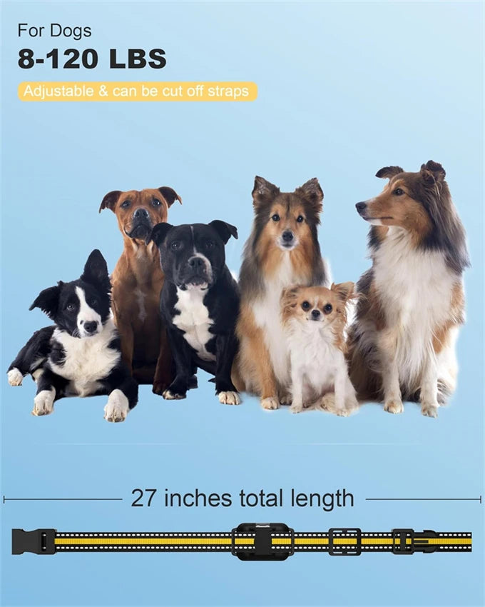 Waterproof Remote Dog Training Collar with Adjustable Control Features