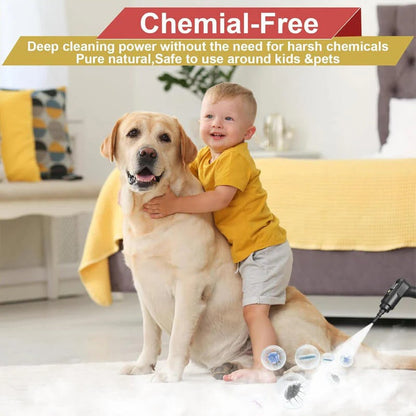 High-Power 2500W Steam Cleaner with Adjustable Flow for Home & Auto