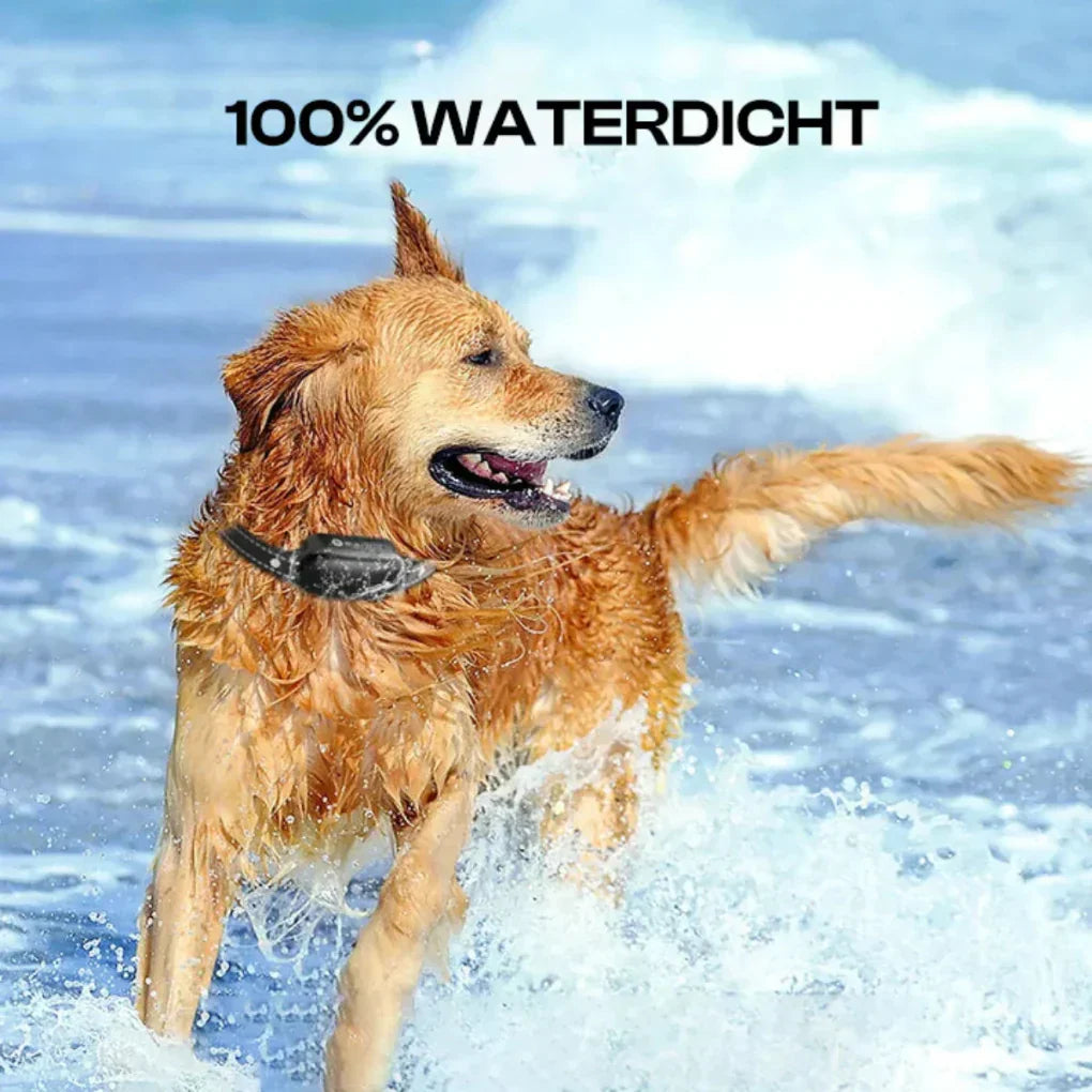 Remote Training Collar for Dogs – Waterproof, 1000m Range, Adjustable Stimulation