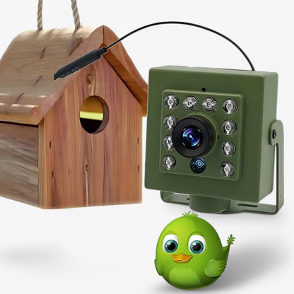1080p HD Trail Camera with Night Vision, Motion Detection, Weatherproof for Wildlife Observation