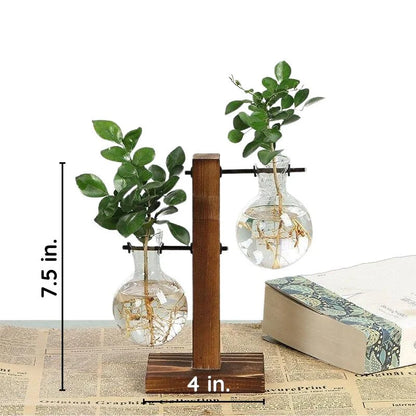 Hydroponic Wall Planter Vase in Wooden Frame – Soil-Free, Types A, B, C