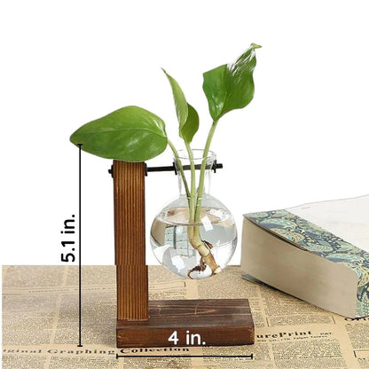 Hydroponic Wall Planter Vase in Wooden Frame – Soil-Free, Types A, B, C