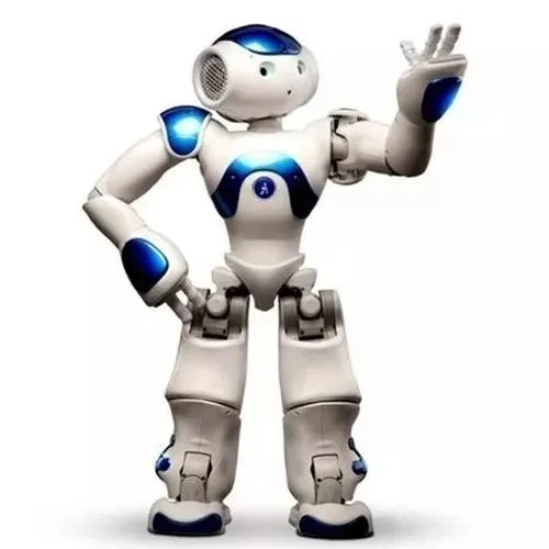 Interactive Lifelike Robot with Dual Cameras and Remote Control