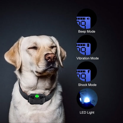 Smart Canine Training Collar with 800M Range & 99 Settings