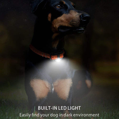 Smart Canine Training Collar with 800M Range & 99 Settings