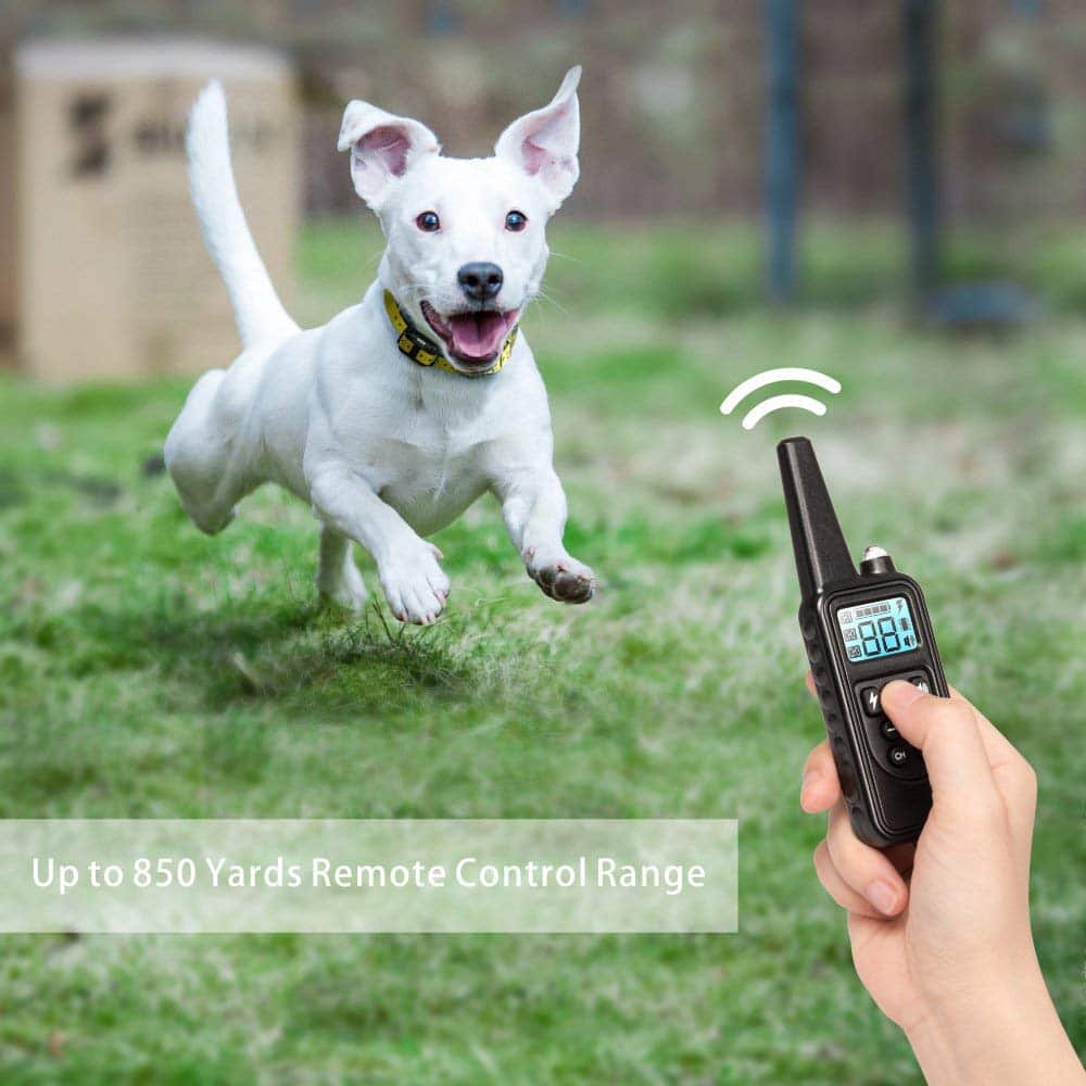 Smart Canine Training Collar with 800M Range & 99 Settings