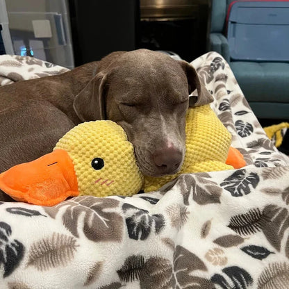 Durable Serenity Duck Toy for Dogs