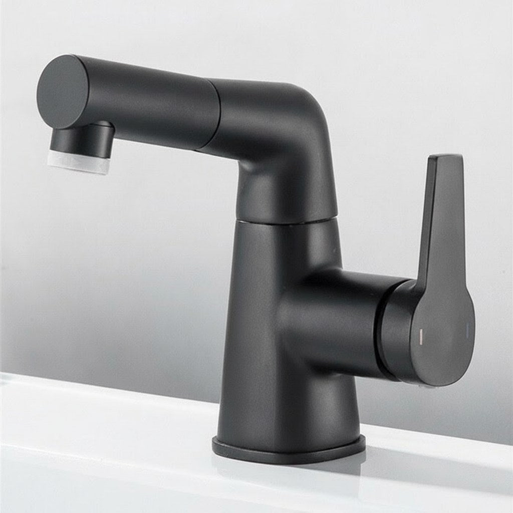 Swivel Spout Kitchen Sink Faucet with Pull-Out Design