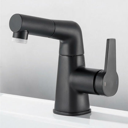 Swivel Spout Kitchen Sink Faucet with Pull-Out Design