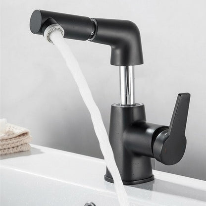 Swivel Spout Kitchen Sink Faucet with Pull-Out Design