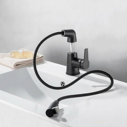 Swivel Spout Kitchen Sink Faucet with Pull-Out Design