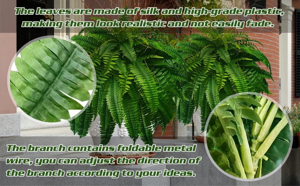 Evergreen Fern Collection - 18 Pack for Year-Round Beauty